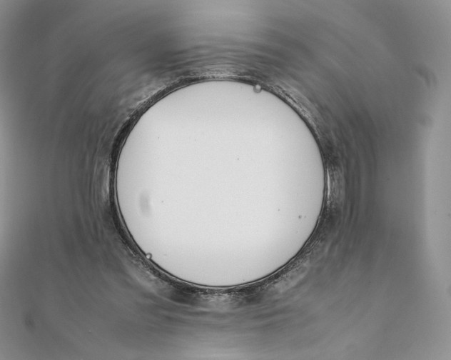 X0000111430301200908031337