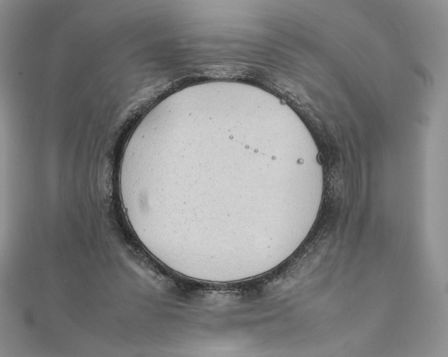 X0000111430303200908031337