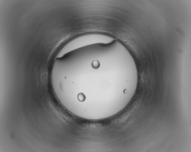 X0000111430304200908031337