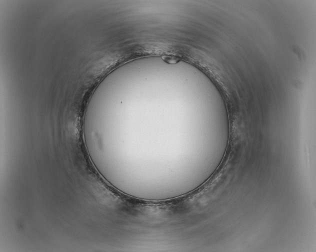 X0000111430305200908031337