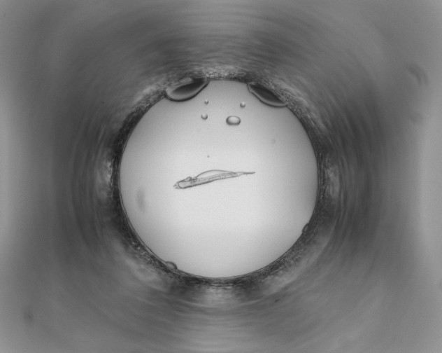 X0000111430308200908031337