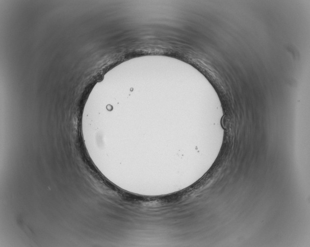 X0000111430309200908031337