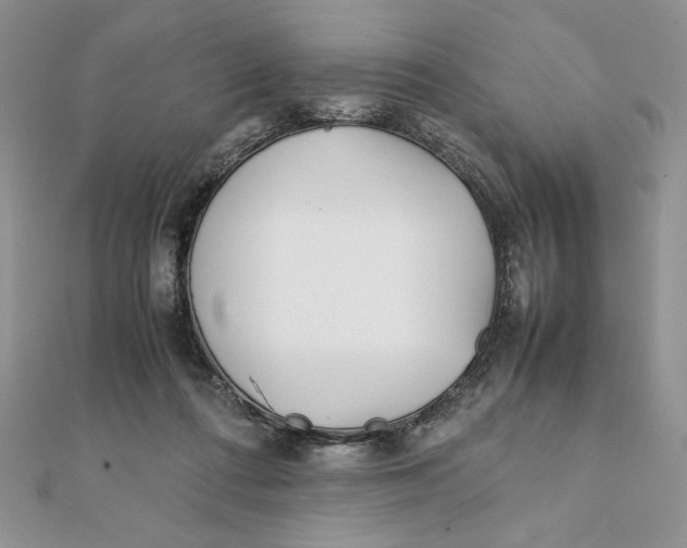 X0000111430312200908031337