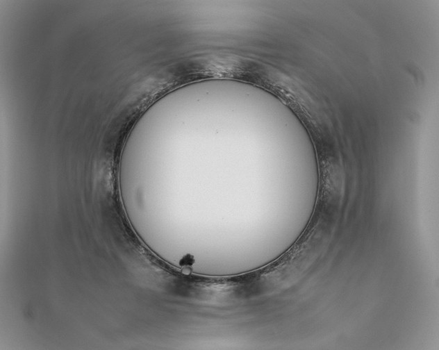 X0000111430313200908031337