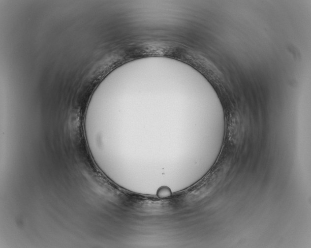 X0000111430314200908031337