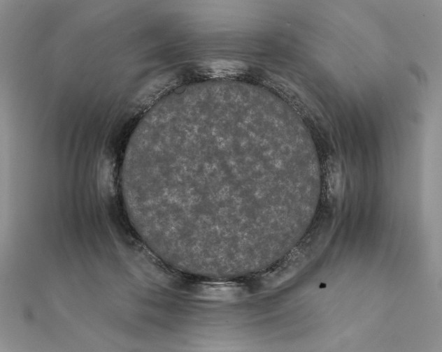 X0000111430316200908031337