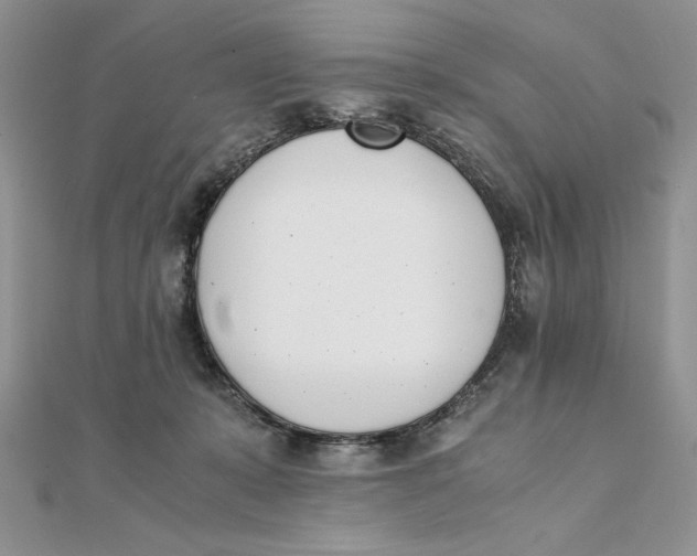 X0000111430319200908031337