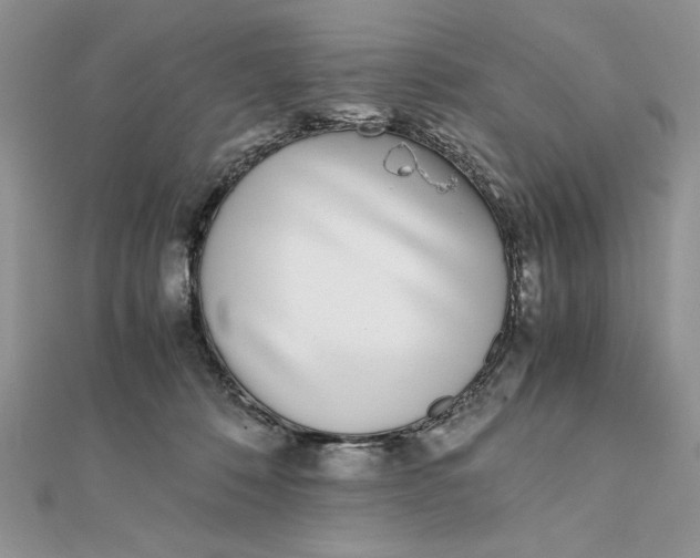 X0000111430320200908031337