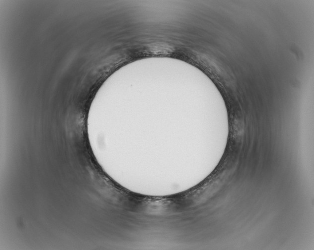 X0000111430321200908031337