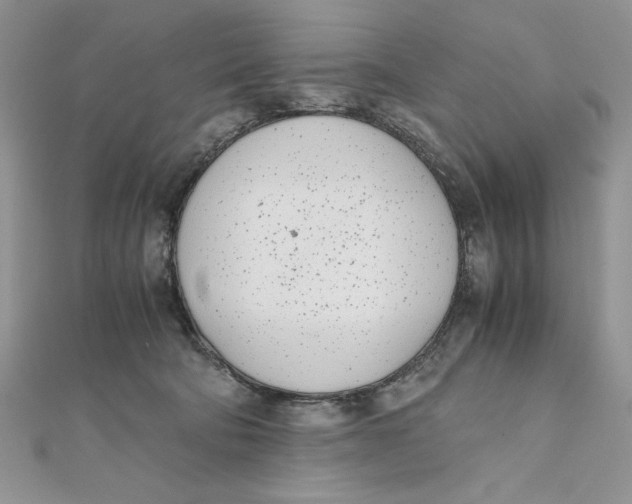 X0000111430322200908031337