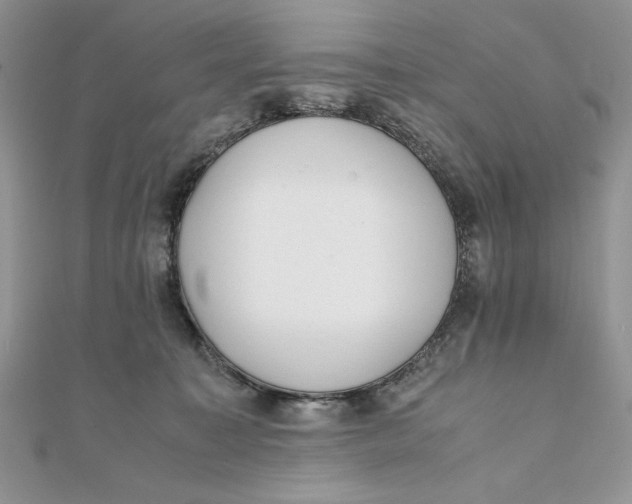 X0000111430323200908031337