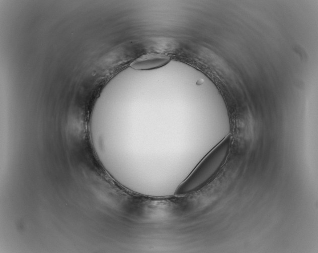 X0000111430324200908031337