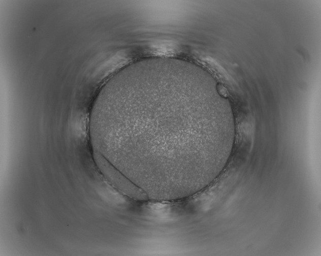 X0000111430325200908031337