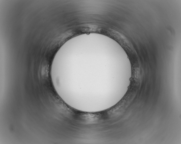 X0000111430326200908031337