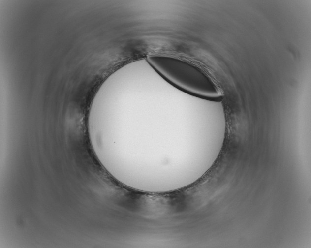 X0000111430327200908031337