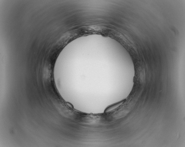 X0000111430328200908031337