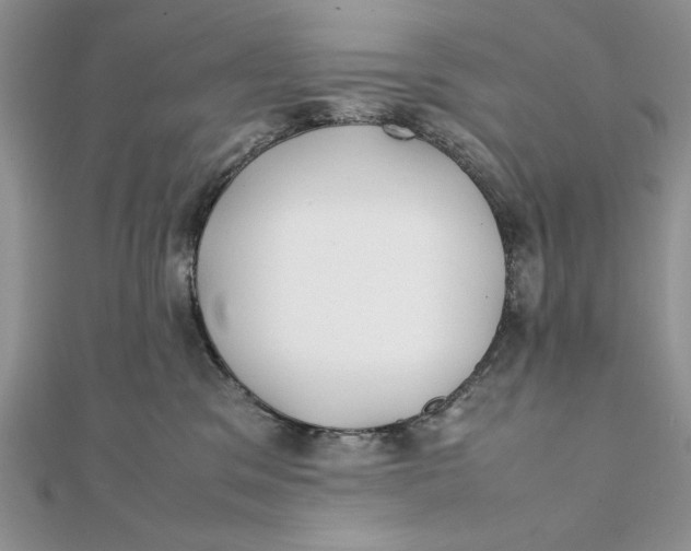 X0000111430329200908031337