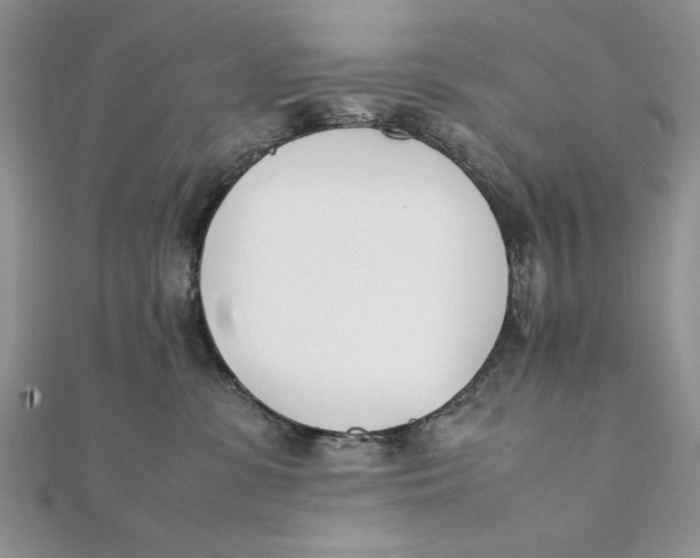 X0000111430331200908031337