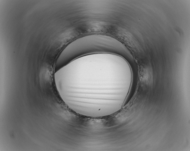 X0000111430332200908031337