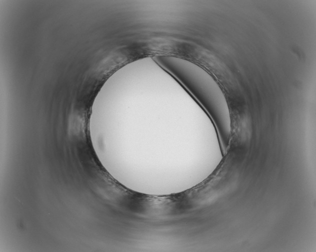 X0000111430333200908031336