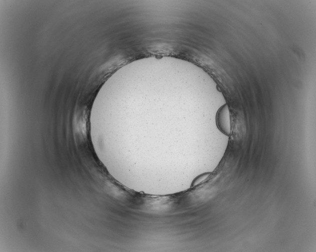 X0000111430334200908031336