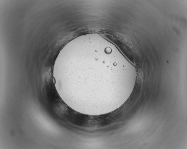 X0000111430335200908031336