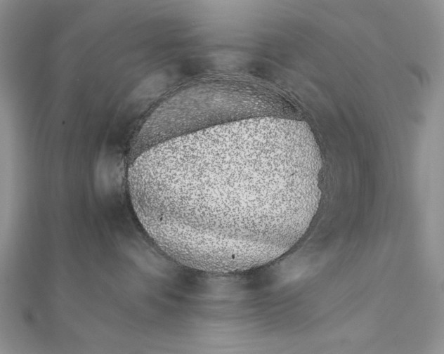 X0000111430336200908031336