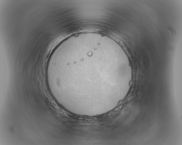 X0000111430337200908031336