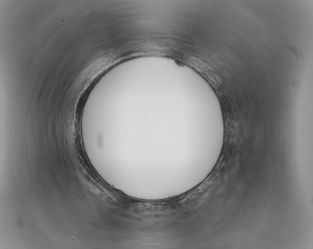 X0000111430338200908031336