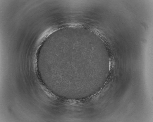 X0000111430339200908031336