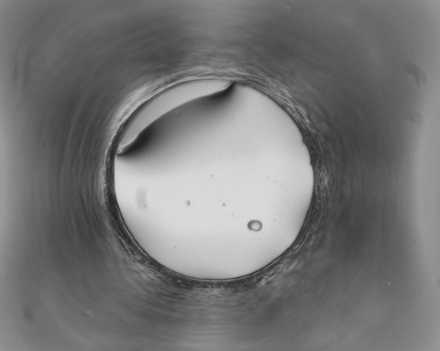 X0000111430340200908031336