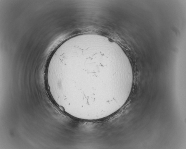 X0000111430341200908031336