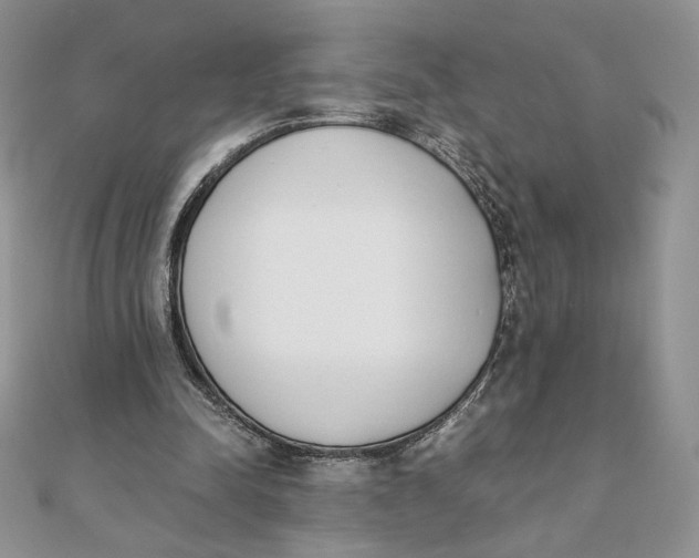 X0000111430342200908031336