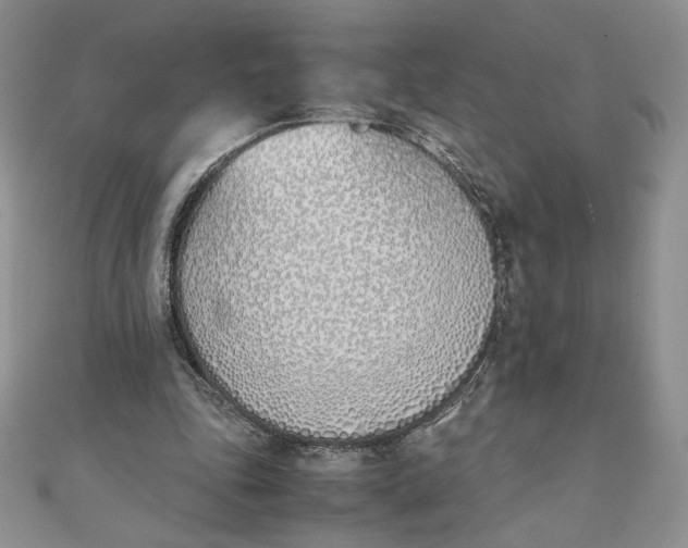 X0000111430343200908031336