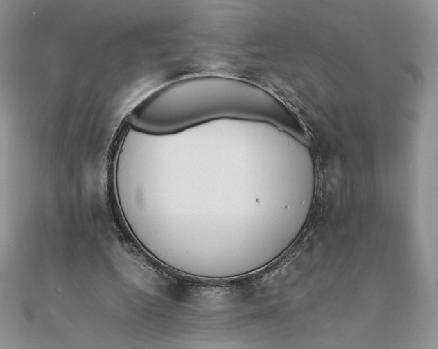 X0000111430344200908031336