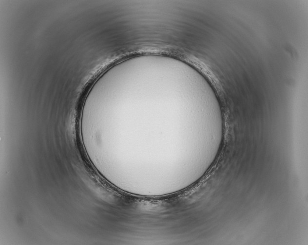 X0000111430346200908031336