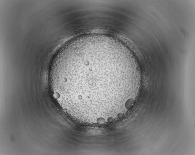 X0000111430347200908031336