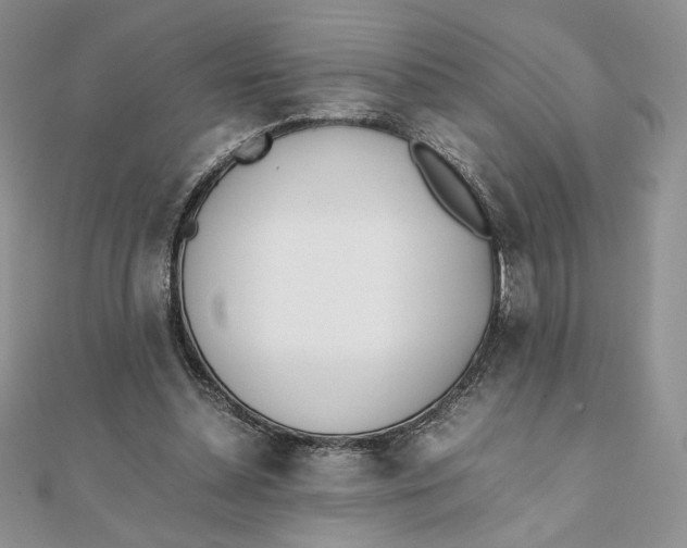 X0000111430348200908031336