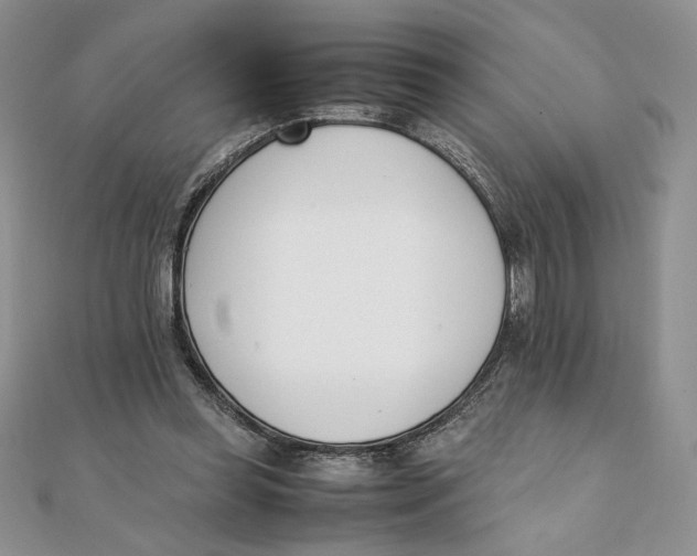 X0000111430349200908031336