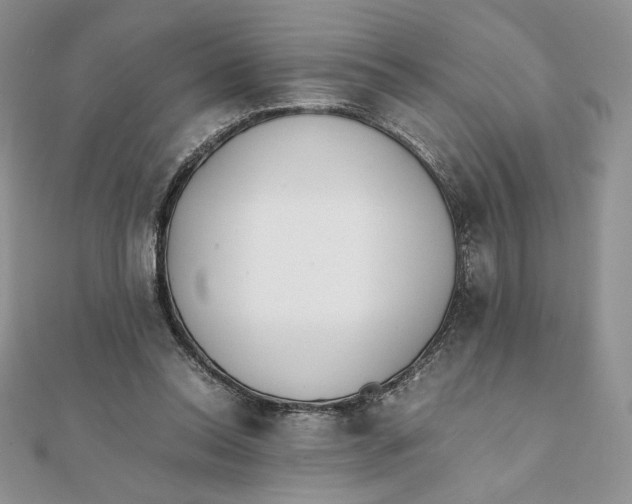 X0000111430350200908031336