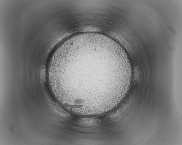 X0000111430351200908031336