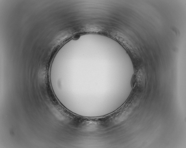 X0000111430352200908031336