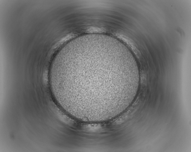 X0000111430353200908031336