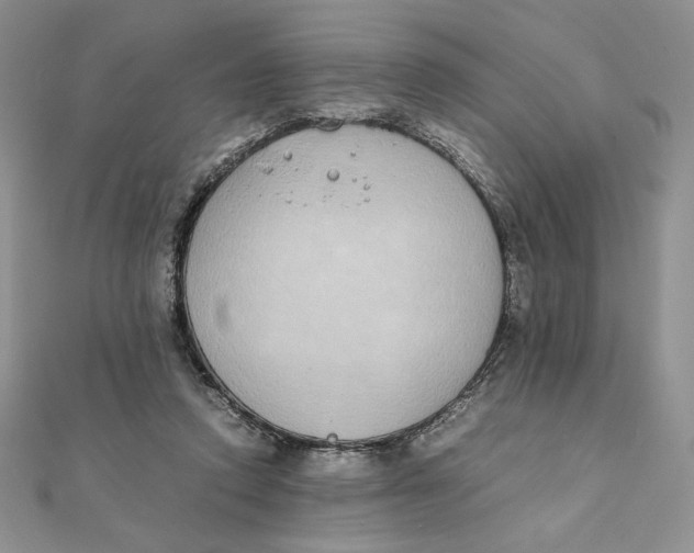 X0000111430354200908031336