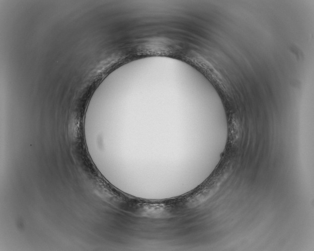 X0000111430355200908031336