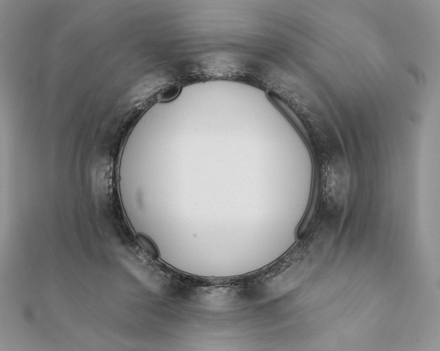 X0000111430356200908031336