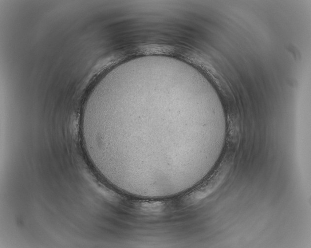 X0000111430357200908031336