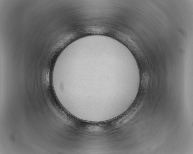 X0000111430358200908031336