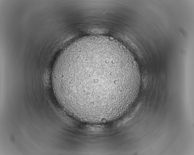 X0000111430359200908031336