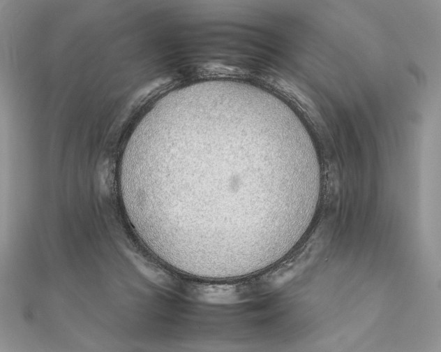 X0000111430361200908031336